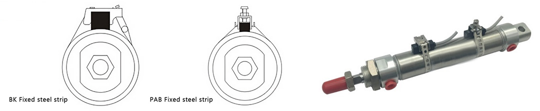 Sensor de interruptor de láminas para cilindro